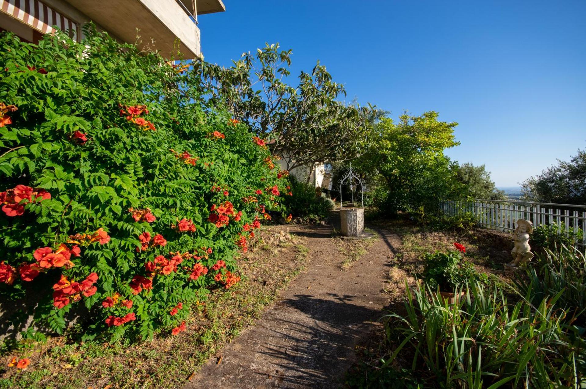 Villa Panoramica Garden Bike Massa Marittima Zewnętrze zdjęcie